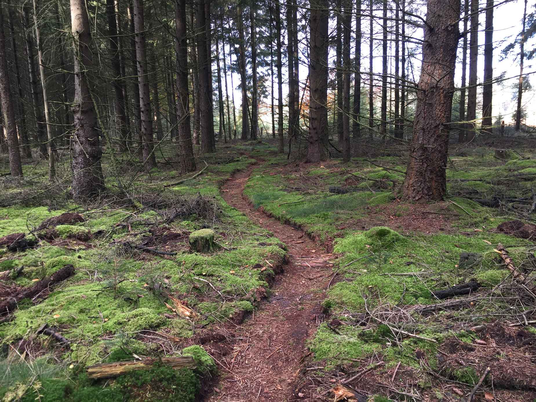 The nature Connection Amsterdam