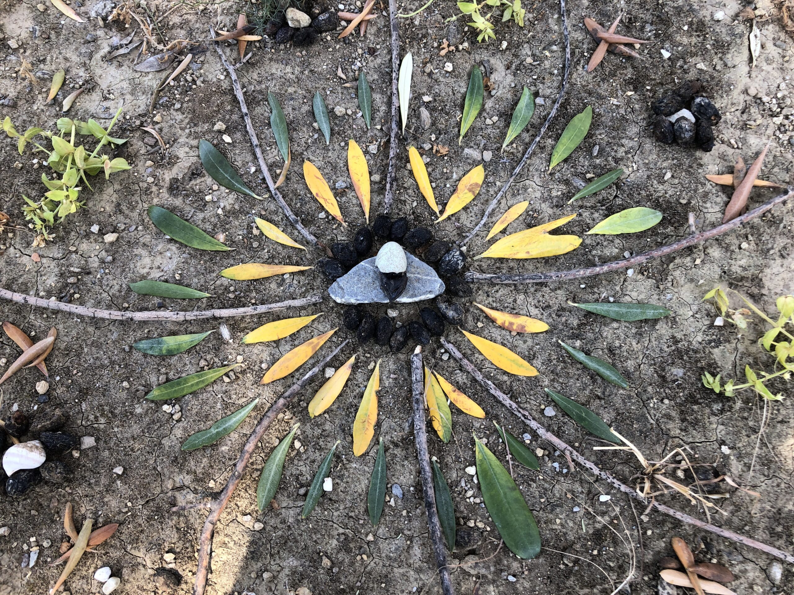 Flower mandala, bloemen mandala